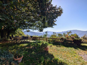 Gîte rural Vosges, 6 pers., WiFi, parking, vélos bienvenue - FR-1-589-760